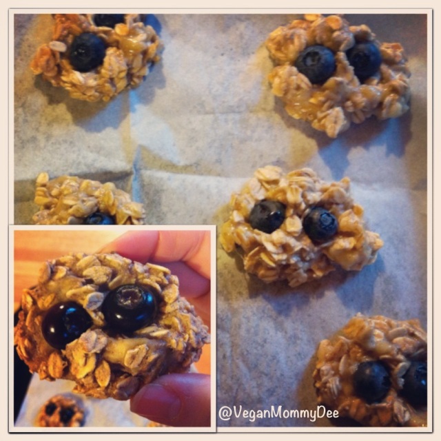Healthy Banana Blueberry Oat Cookies!